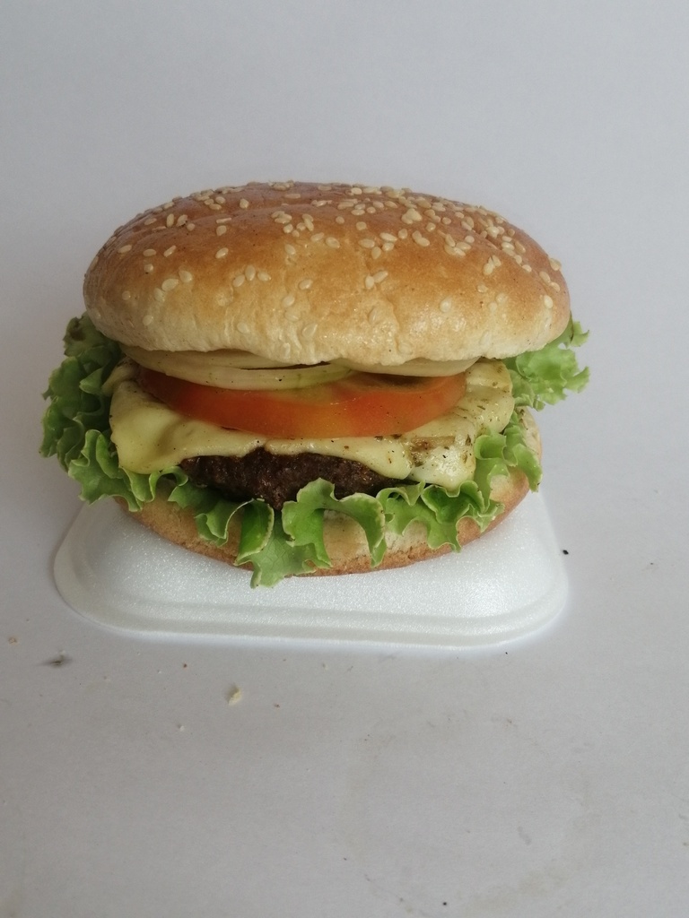 Hamburguesa Sencilla 100%